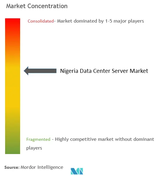 Nigeria Data Center Server Market Concentration