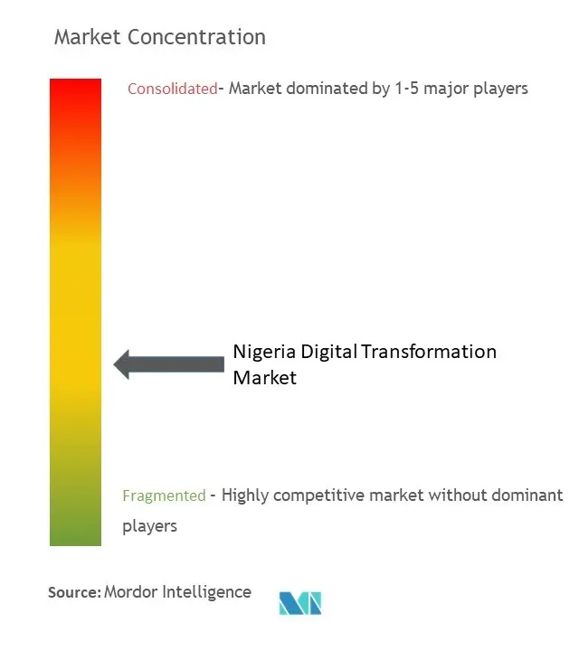 Nigeria Digital Transformation Market Concentration