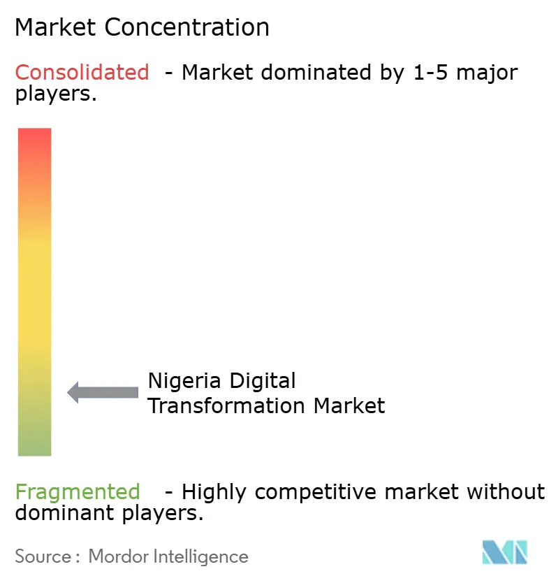 Nigeria Digital Transformation Market Concentration