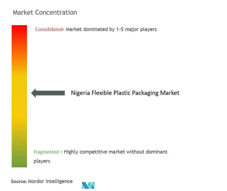 Nigeria Flexible Plastic Packaging Market Concentration