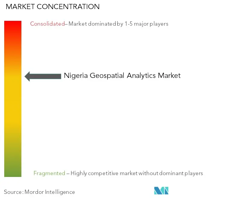 Nigeria Geospatial Analytics Market Concentration