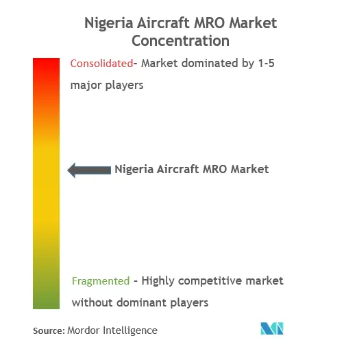 나이지리아 항공기 유지 보수 수리 및 정밀 검사 시장 집중