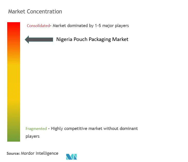 Nigeria Pouch Packaging Market Concentration