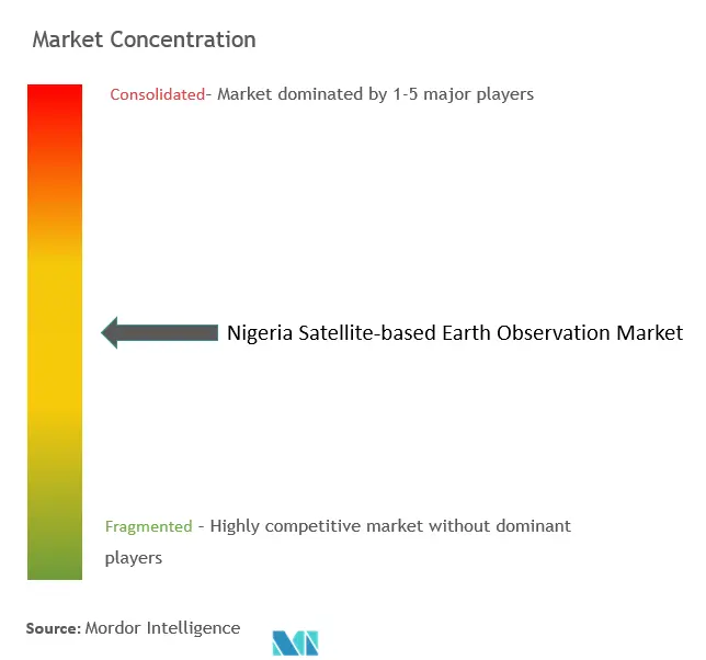 ナイジェリアの衛星ベース地球観測市場の集中度