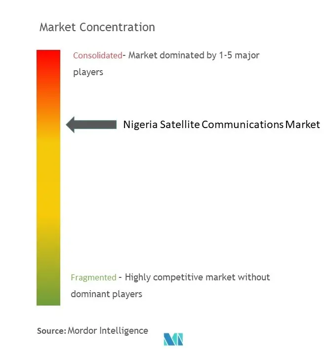 ナイジェリア衛星通信市場の集中度