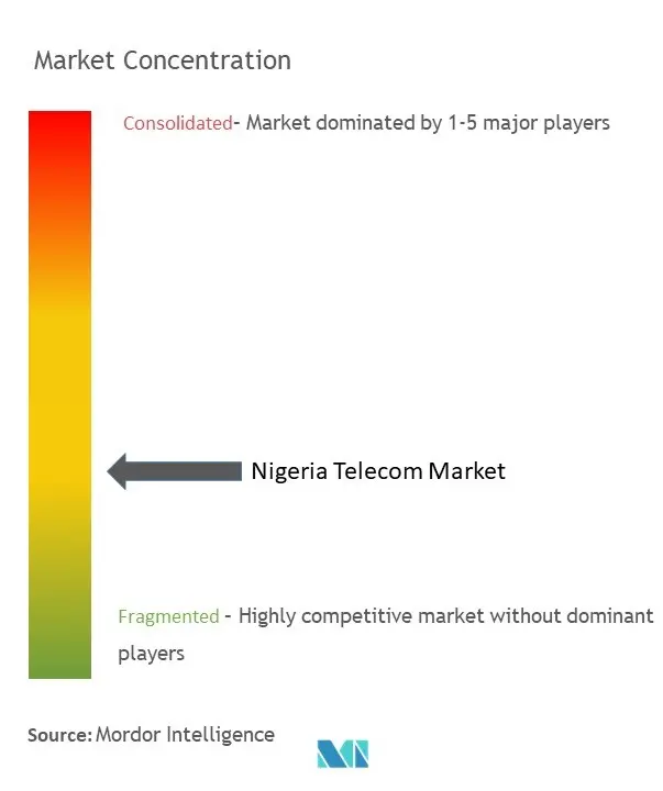 ナイジェリア・テレコム市場の集中度