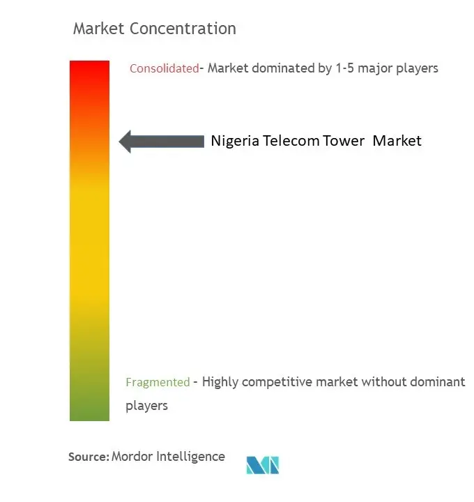 Nigeria Telecom Tower Market Concentration