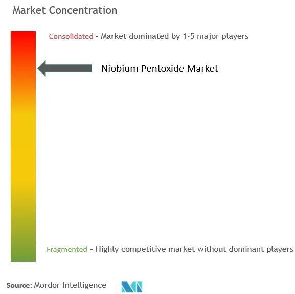 Niobium Pentoxide Market Concentration