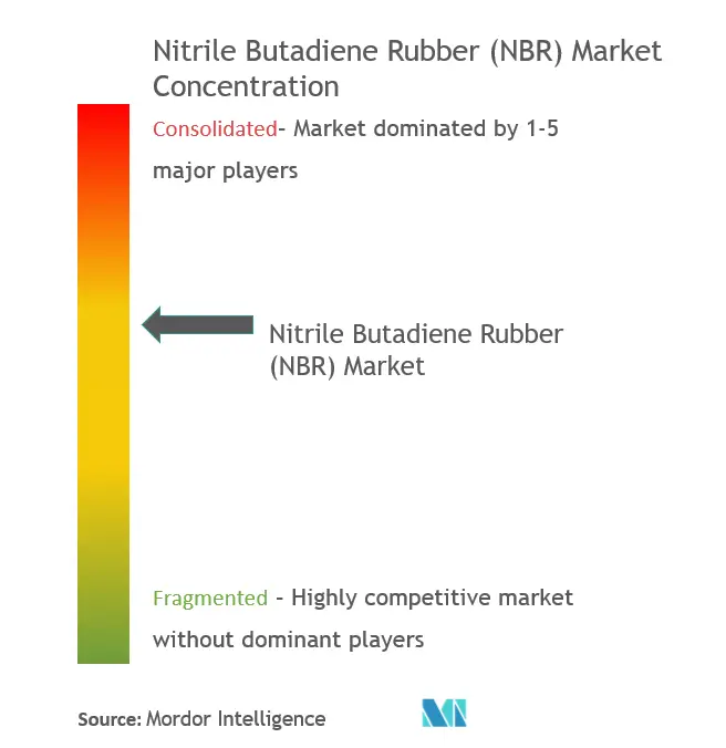 Global NBR Market - Market Concentration.PNG