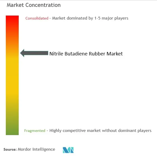 Nitrile Butadiene Rubber (NBR) Market Concentration