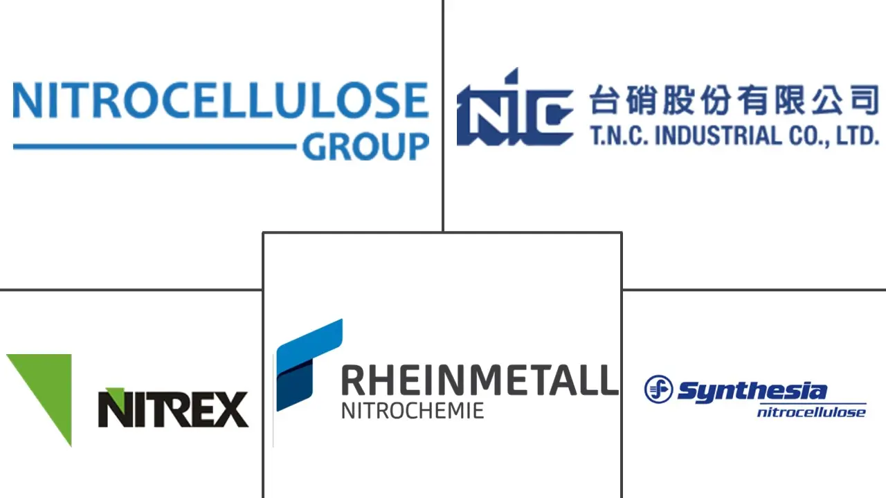 Principaux acteurs dans Marché de la nitrocellulose industrie