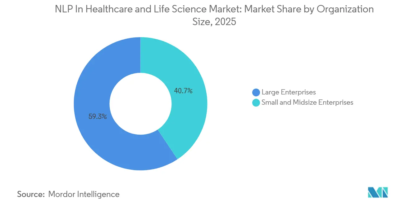 NLP In Healthcare and Life Science Market: Market Share by Organization Size
