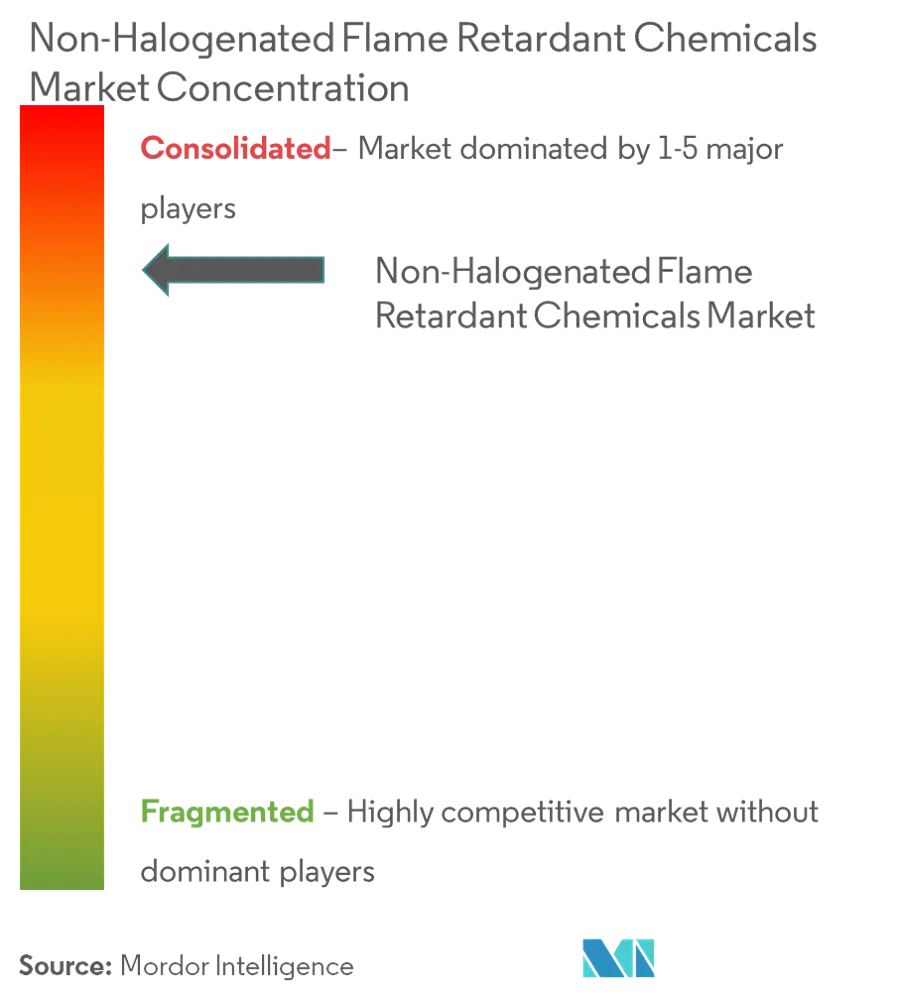 Market Concentration - Non-Halogenated Flame Retardant Chemicals Market.png