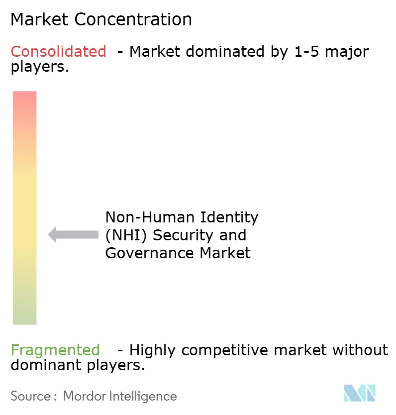 Non-Human Identity (NHI) Security and Governance Market Concentration