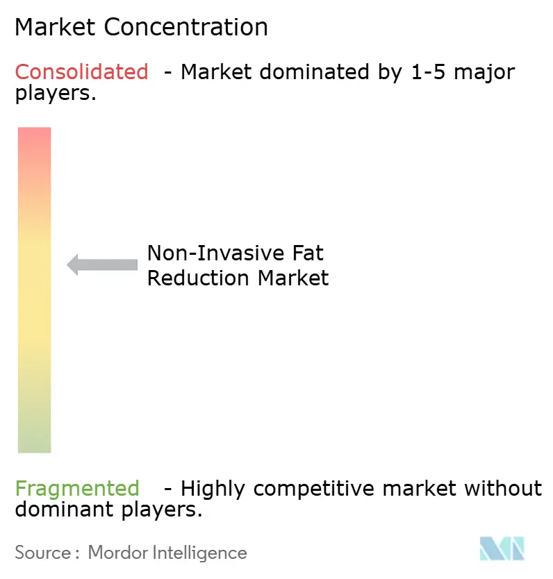 Concentration du marché de la réduction non invasif des graisses
