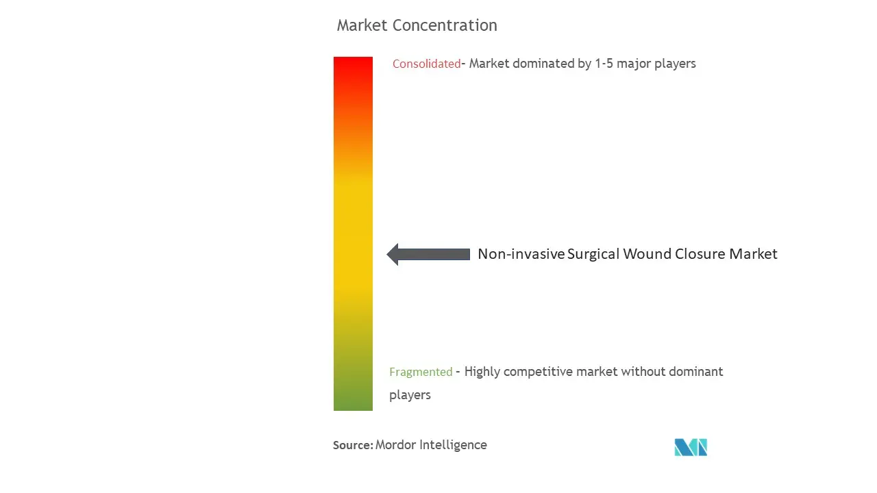 Non-Invasive Surgical Wound Closure Market Concentration