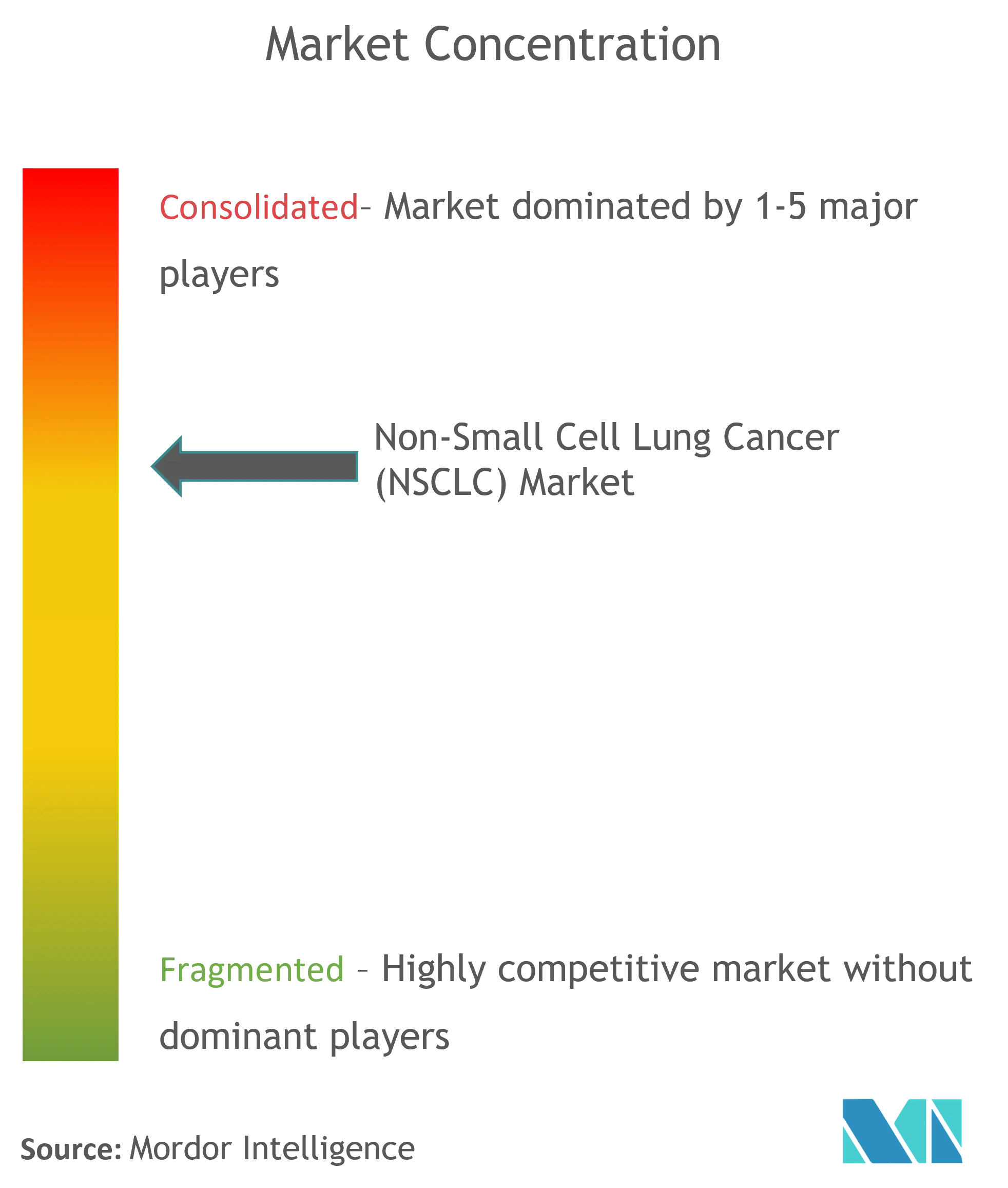 非小細胞肺がん (NSCLC)市場集中度