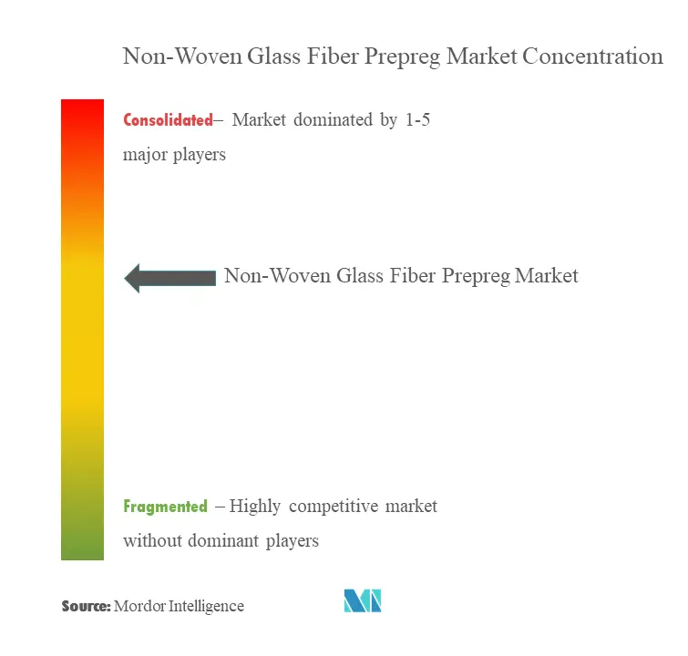 Non-Woven Glass Fiber Prepreg Market - Market Concentration.png