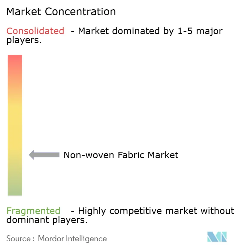 Non-woven Fabric Market - Market Concentration