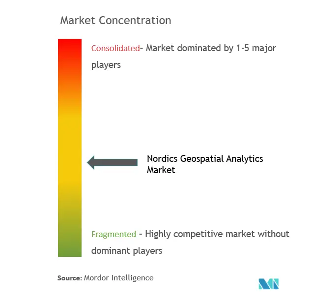 Nordics Geospatial Analytics Market Concentration