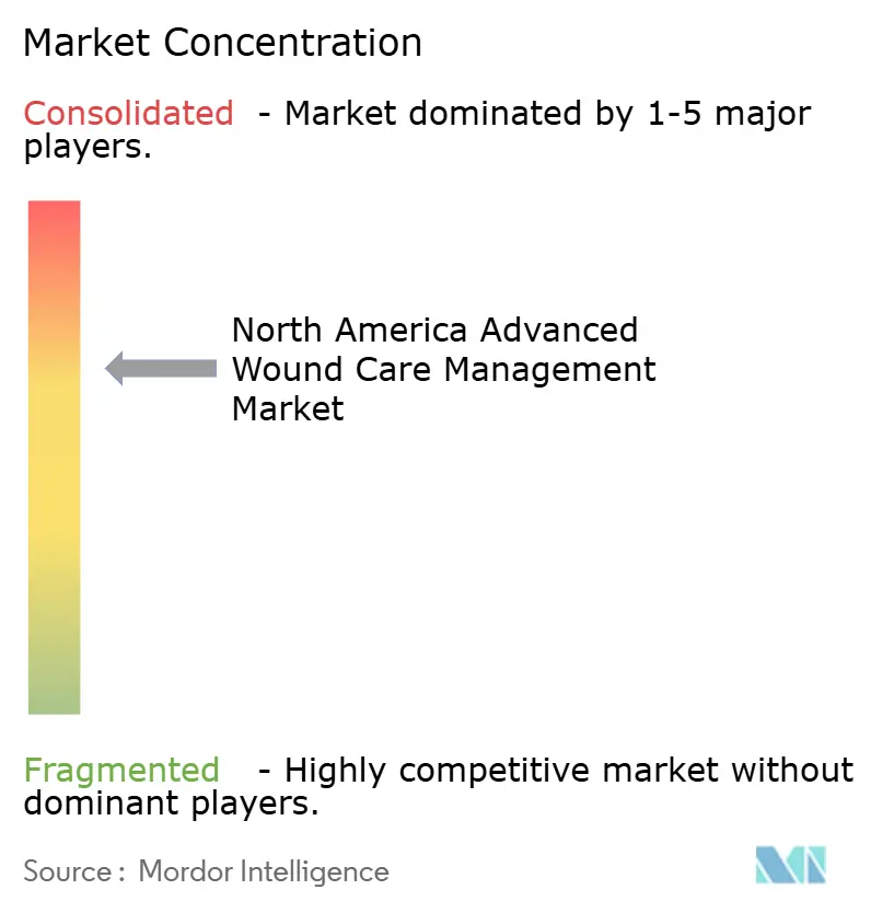 North America Advanced Wound Care Management Market