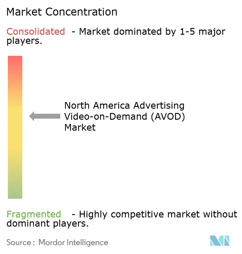 Nordamerika Markt für werbefinanziertes Video-on-Demand (AVOD) – Marktkonzentration