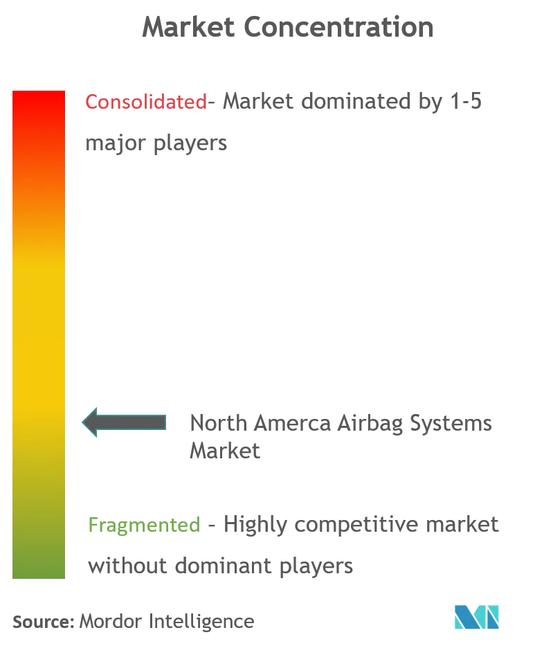 North Amerca Airbag Systems Market_Market Concentration.png