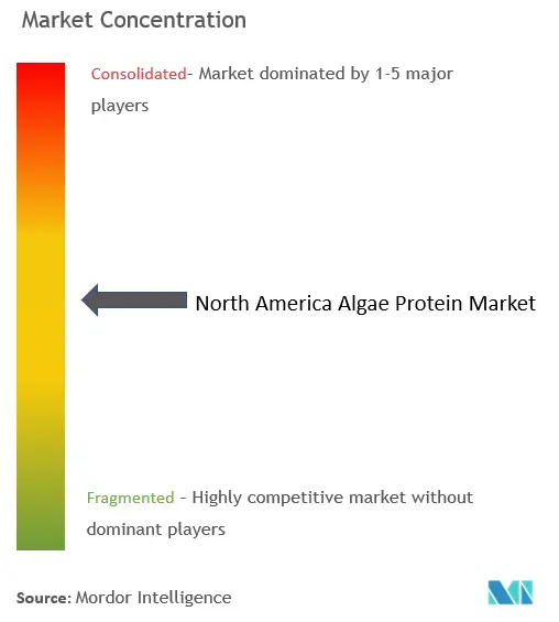 Концентрация рынка белка водорослей в Северной Америке