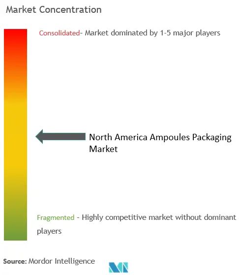 North America Ampoules Packaging Market Concentration