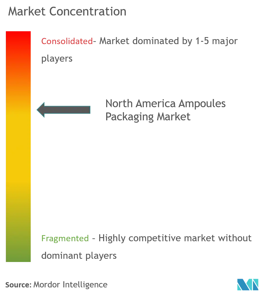 NA Ampoules Packaging Market Concentration