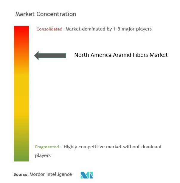 North America Aramid Fiber Market Concentration