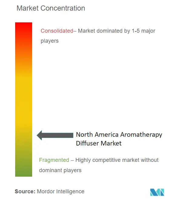 Concentración del mercado de difusores de aromaterapia en América del Norte