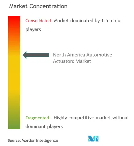 North America Automotive Actuators Market Concentration