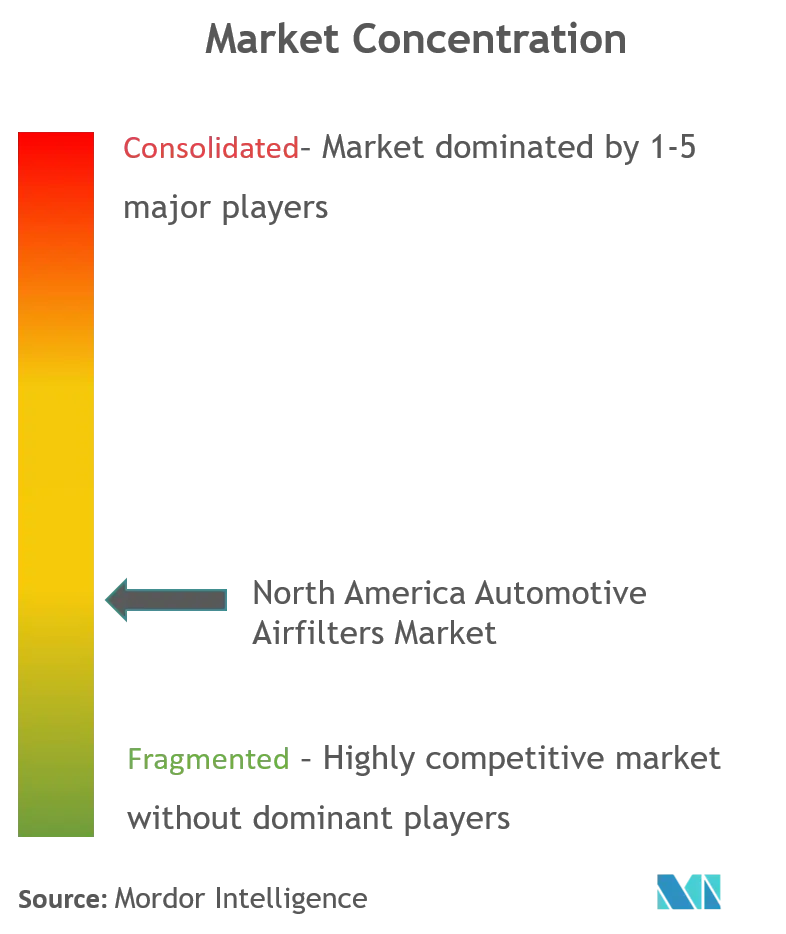 Mercado de filtros de aire automotrices de América del Norte_Concentración de mercado.png
