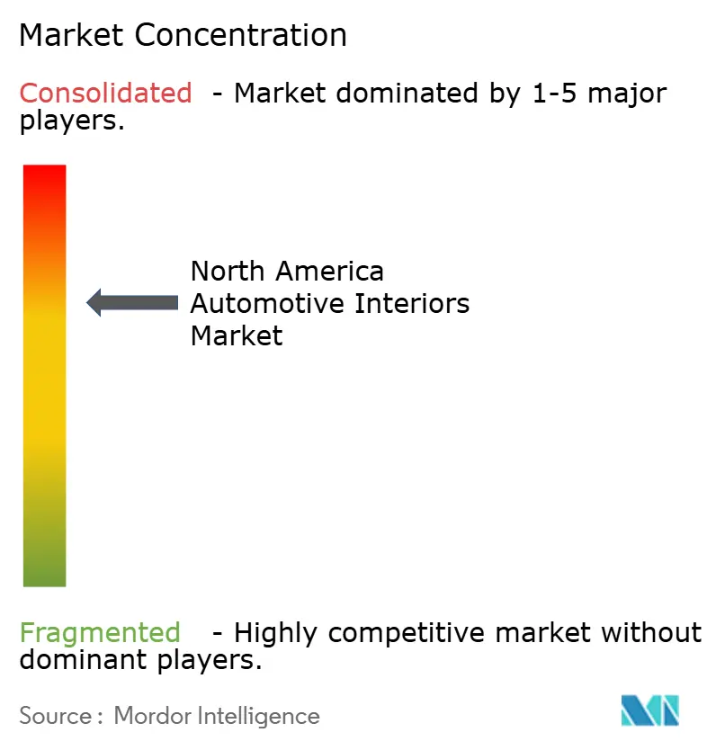 North America Automotive Interiors Market Concentration