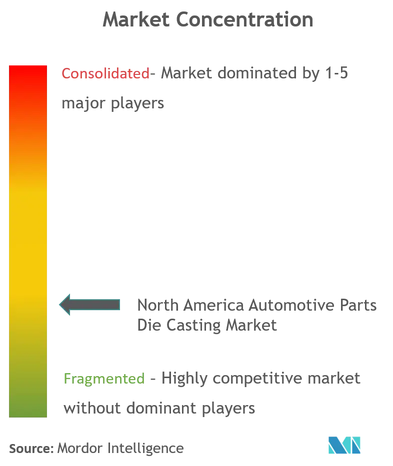 North America Automotive Parts Die Casting Market_Market Concentration.png