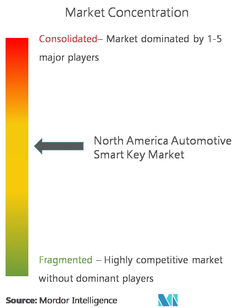 North America Automotive Smart Key Market - Concentration.png
