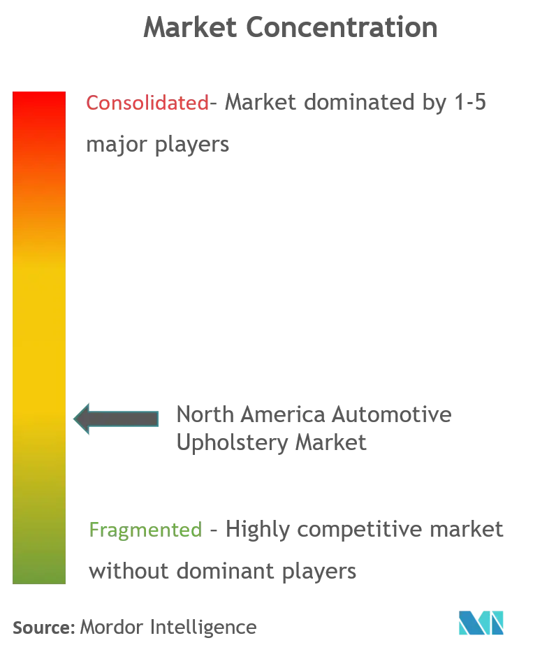 North America Automotive Upholstery Market_Market Concentration.png