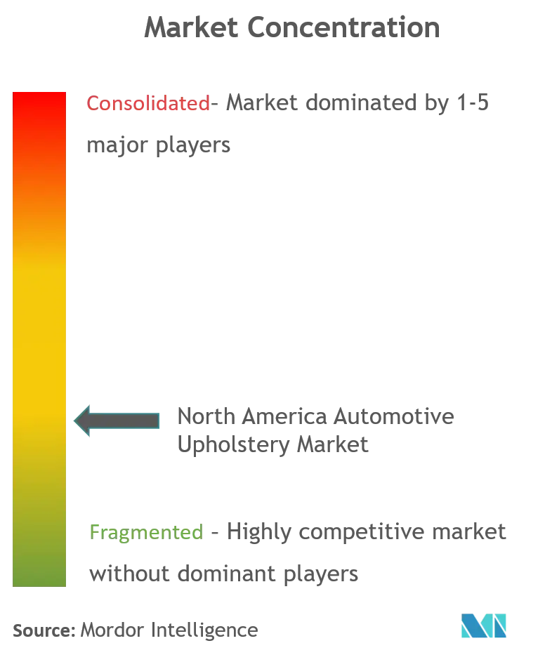 Concentración del mercado de tapicería automotriz de América del Norte