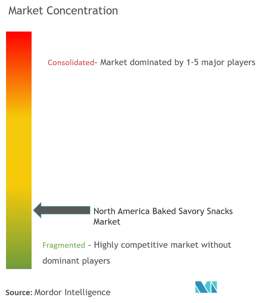 North America Baked Savory Snacks Market Concentration