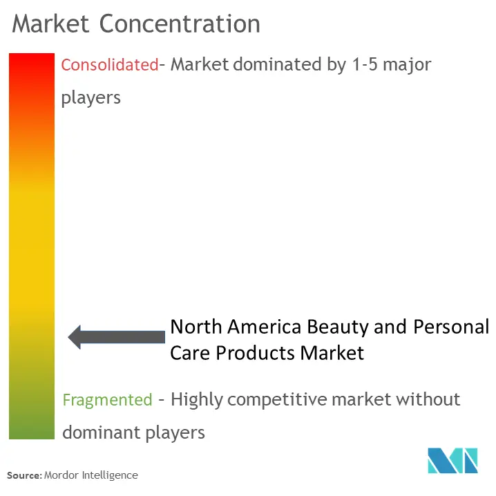 Концентрация рынка товаров для красоты и личной гигиены в Северной Америке