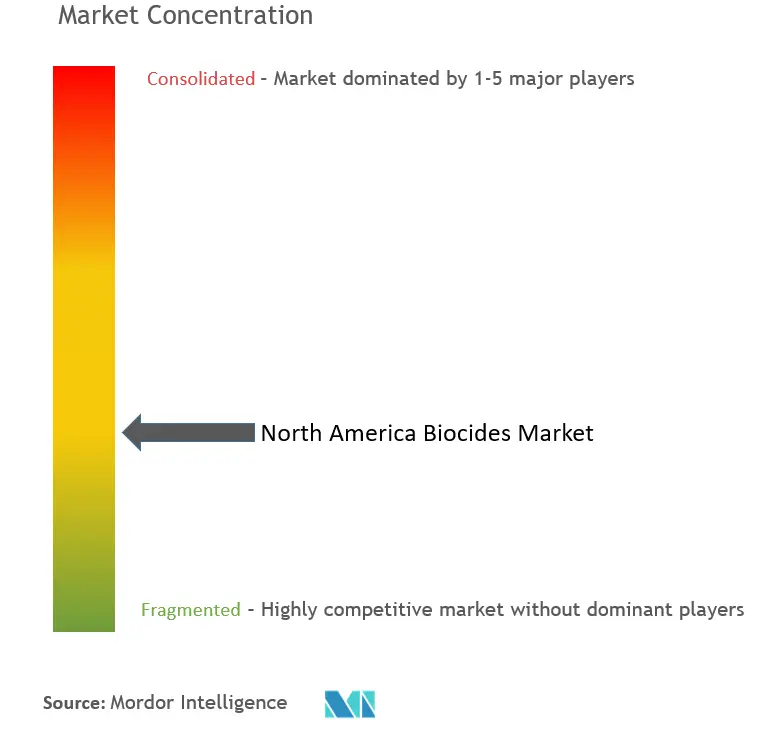 North America Biocides Market Concentration