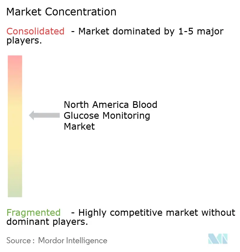 North America Blood Glucose Monitoring Market Concentration