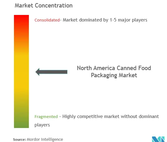 North America Canned Food Packaging Market Concentration