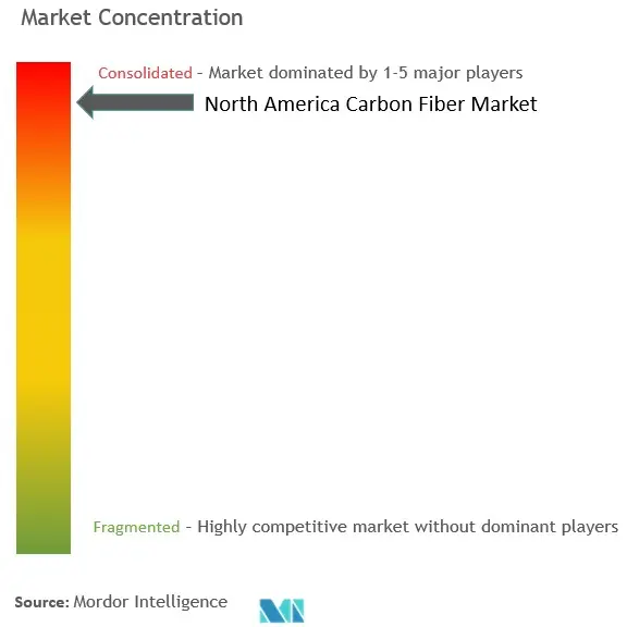 North America Carbon Fiber Market Concentration