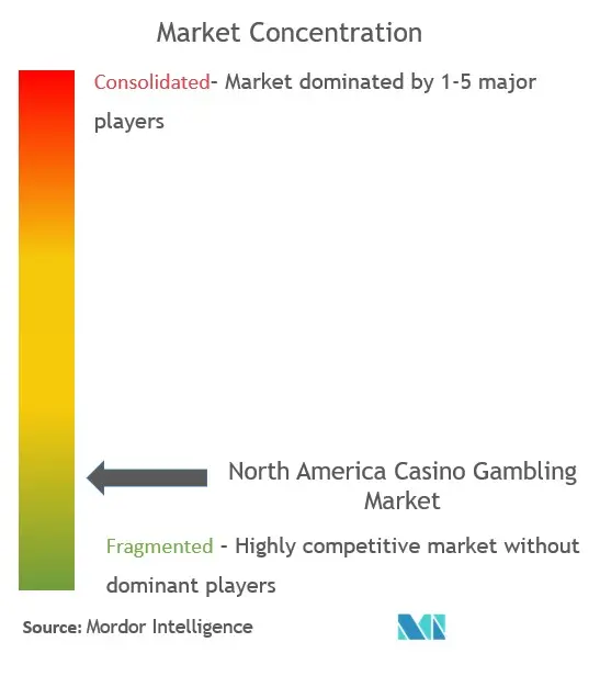 North America Casino Gambling Market Concentration