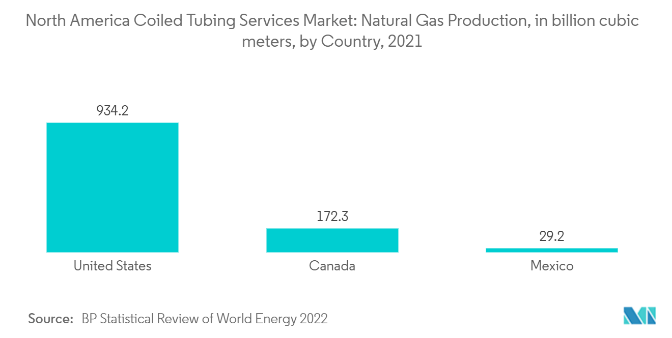 北美连续油管服务市场：天然气产量（十亿立方米），按国家/地区划分（2021 年）
