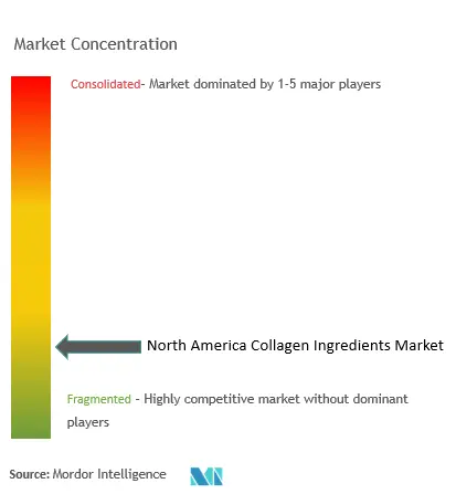Концентрация рынка коллагеновых ингредиентов в Северной Америке