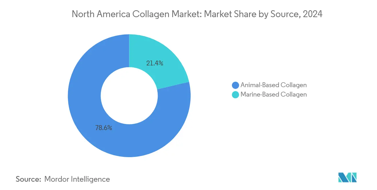 North America Collagen Market: Market Share by Source