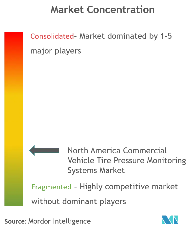 North America Commercial Vehicle Tire Pressure Monitoring Systems Market_Market Concentration.png